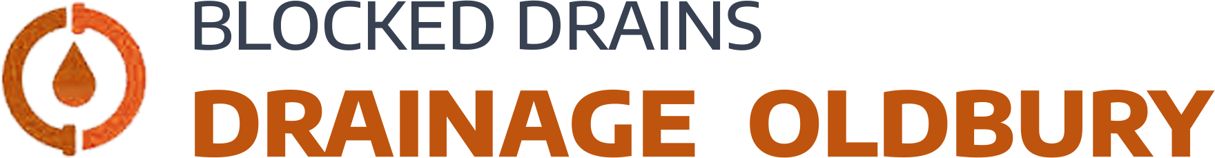 website logo